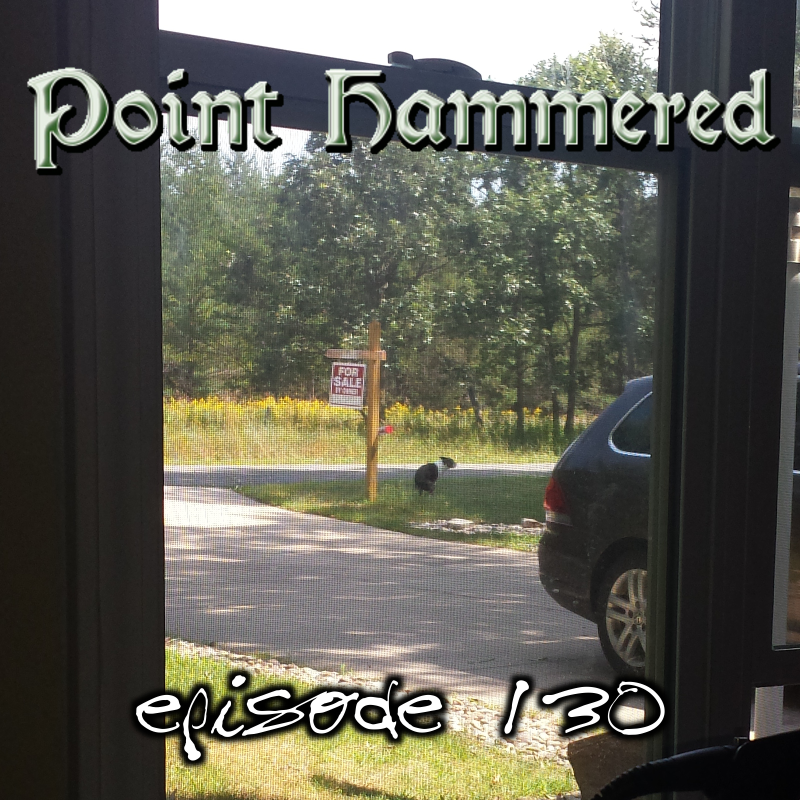Point Hammered